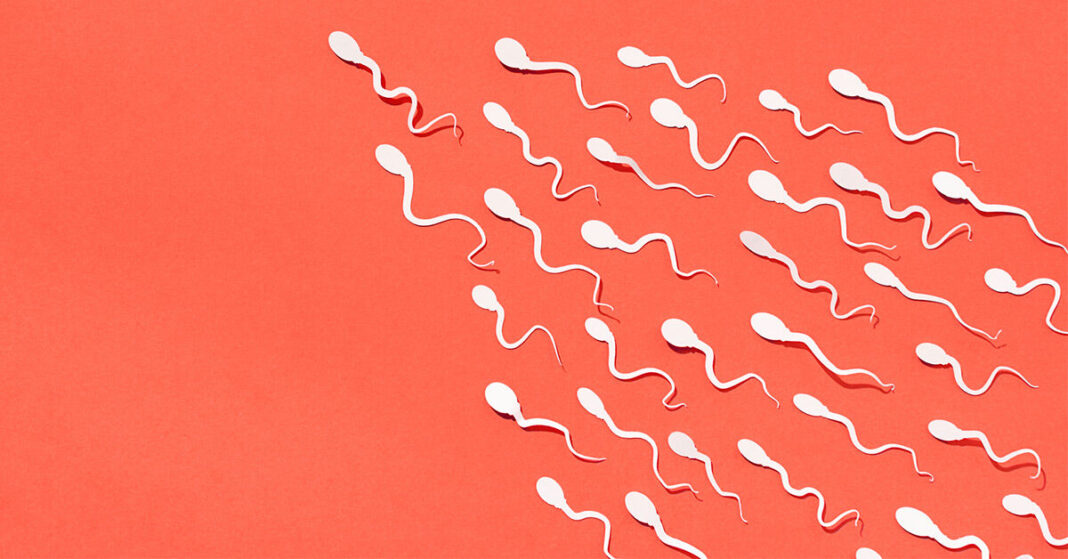 How Long Can Sperm Survive?