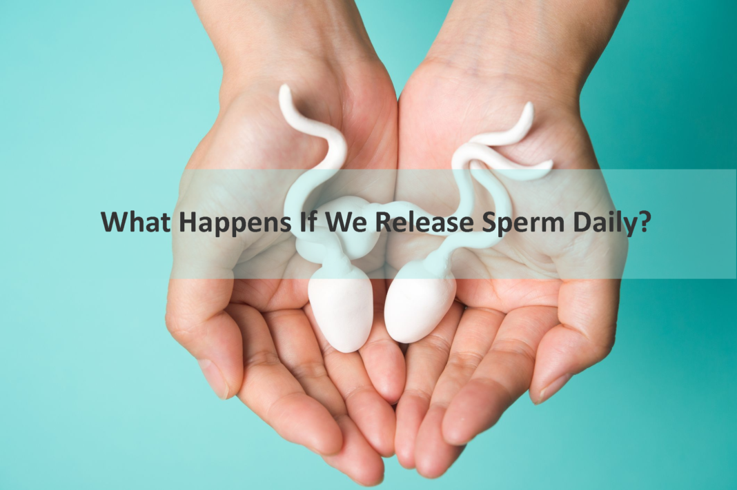 What Happens If We Release Sperm Daily?