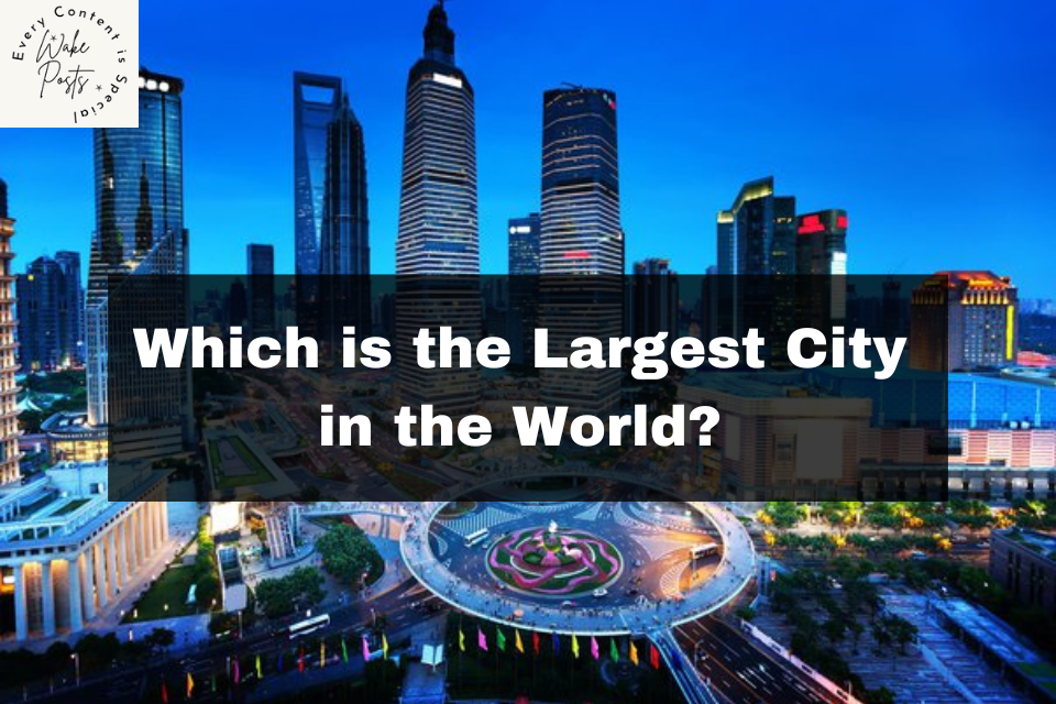 Largest City in the World