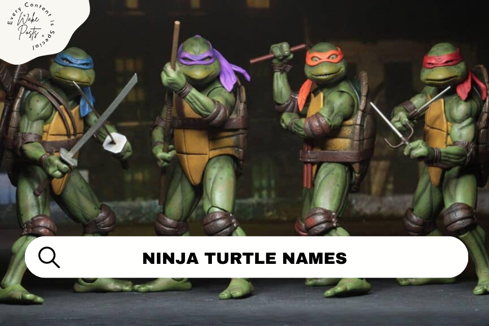 Ninja Turtle Names
