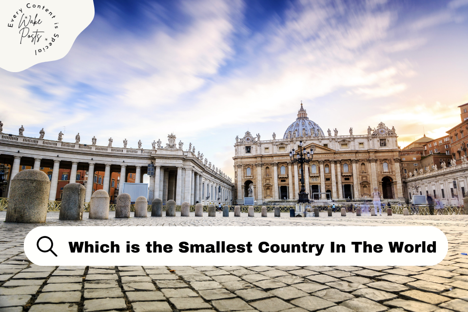 which is the smallest country in the world