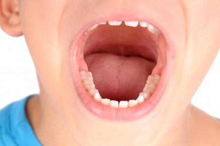oral cavity